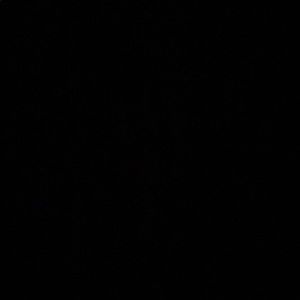 Meet your Posher, Carson